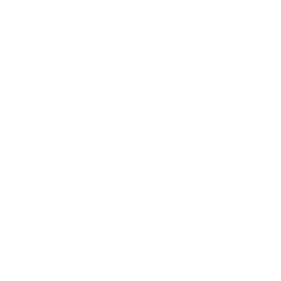 Real Estate Services